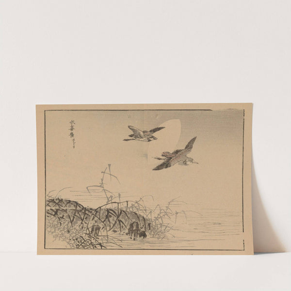 Bairei gafu, Pl.48 by Kōno Bairei