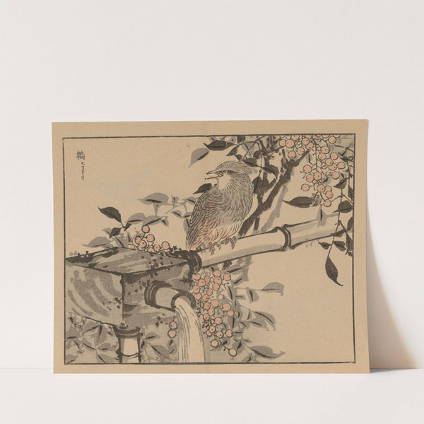 Bairei gafu, Pl.49 by Kōno Bairei