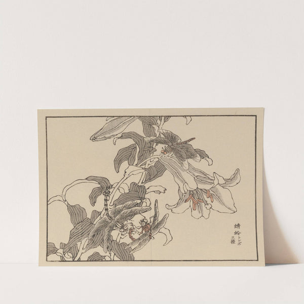 Bairei gafu, Pl.52 by Kōno Bairei