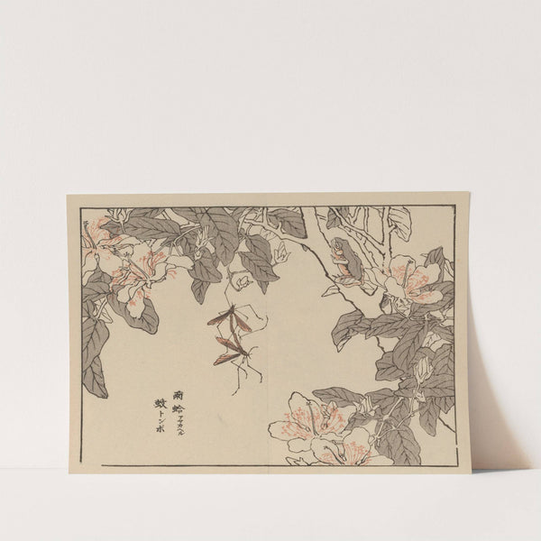 Bairei gafu, Pl.53 by Kōno Bairei