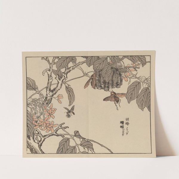 Bairei gafu, Pl.55 by Kōno Bairei