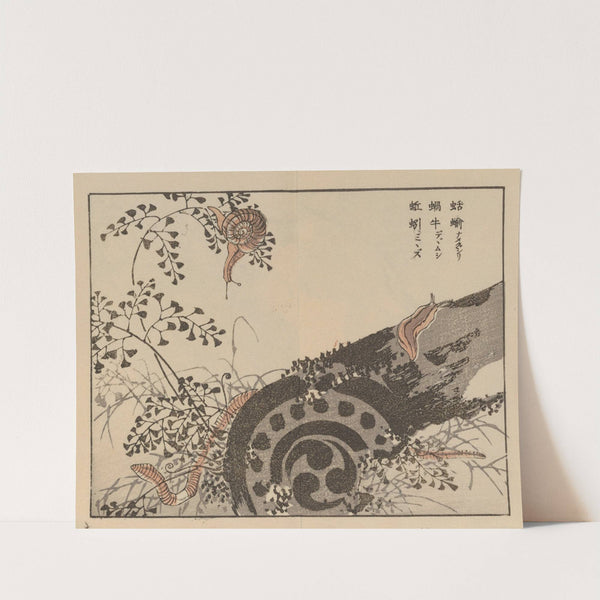 Bairei gafu, Pl.56 by Kōno Bairei