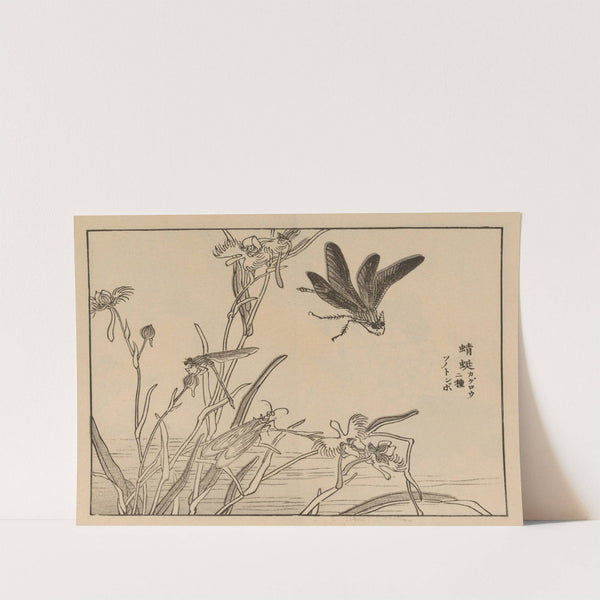 Bairei gafu, Pl.60 by Kōno Bairei