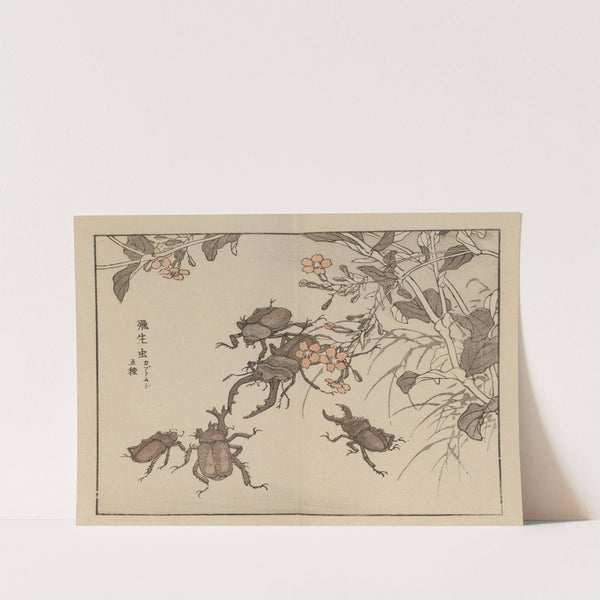 Bairei gafu, Pl.64 by Kōno Bairei