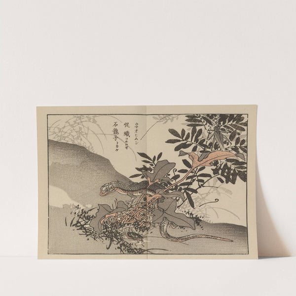 Bairei gafu, Pl.66 by Kōno Bairei