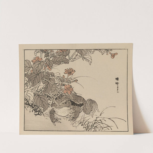 Bairei gafu, Pl.71 by Kōno Bairei