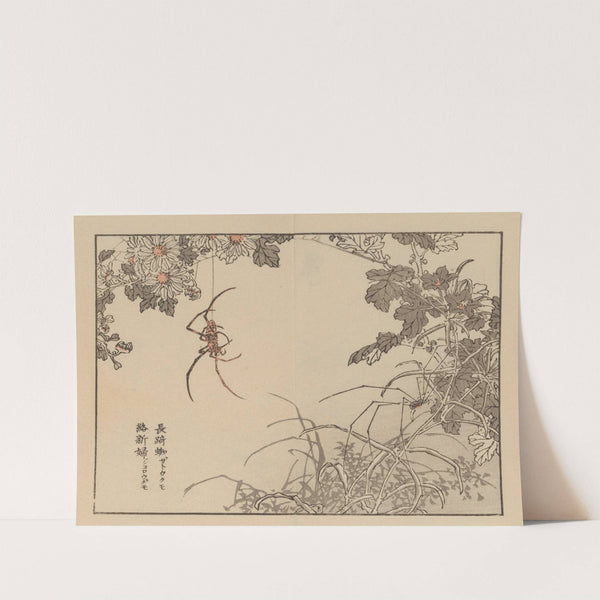 Bairei gafu, Pl.74 by Kōno Bairei