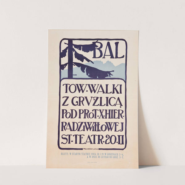 Bal Towarzystwa Walki z Gruźlicą by Anonymous