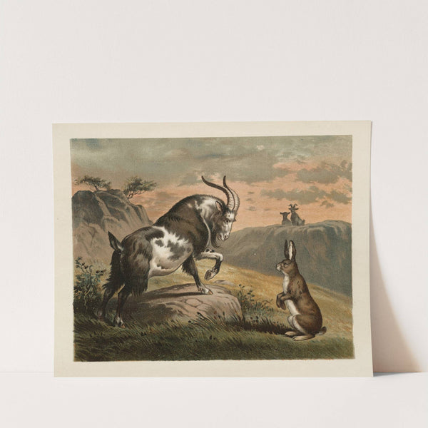 Ballad of the lost hare Pl.04 by Margaret Sidney