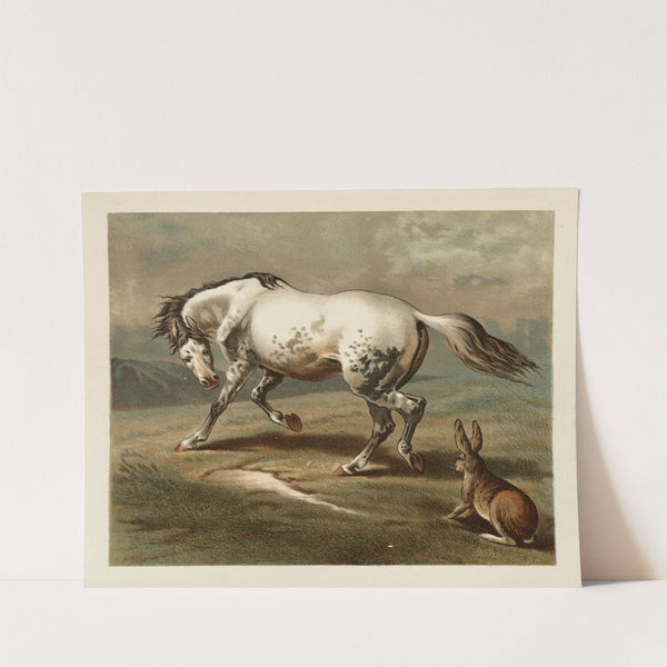 Ballad of the lost hare Pl.05 by Margaret Sidney