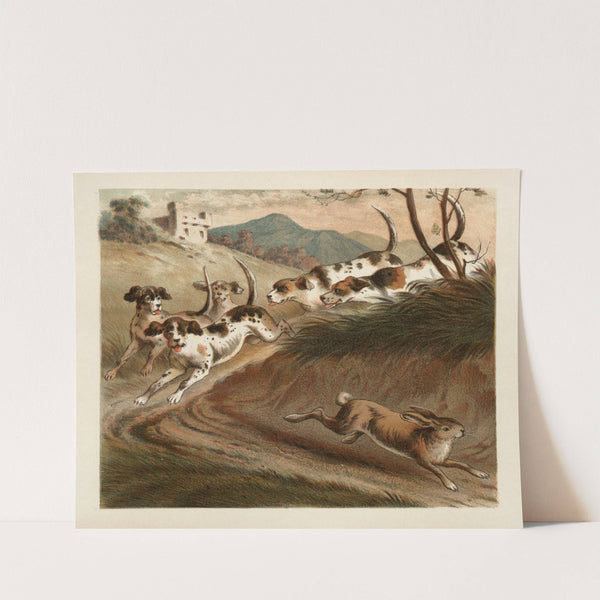 Ballad of the lost hare Pl.08 by Margaret Sidney