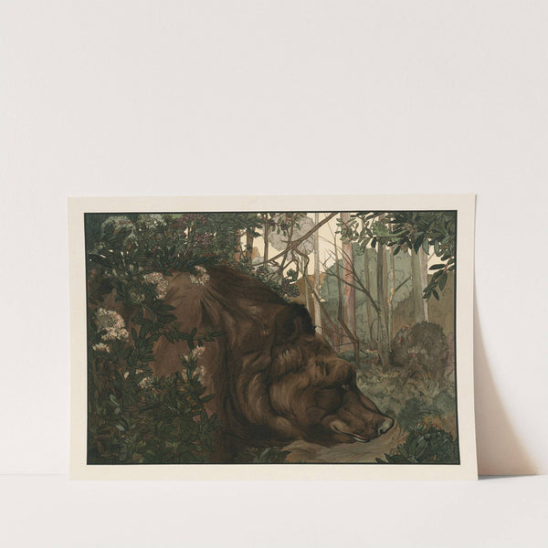 Baloo in the forest (1903) by Charles Maurice Detmold