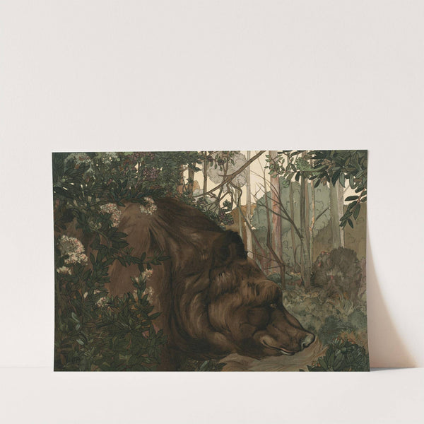 Baloo In The Forest by Charles Maurice Detmold