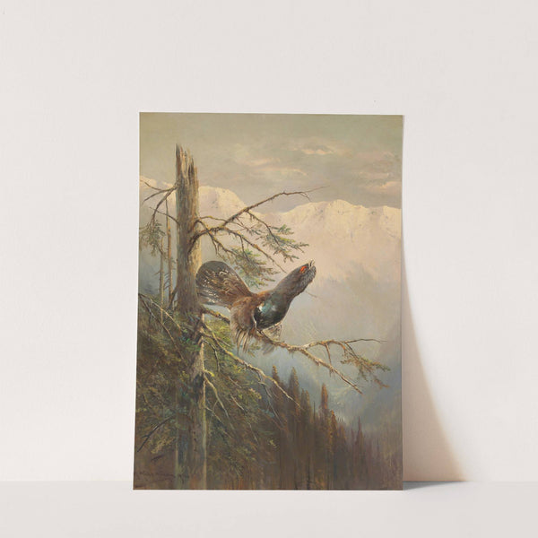 Balzender Auerhahn by Moritz Müller