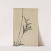 Bamboo shoots by Katsushika Hokusai