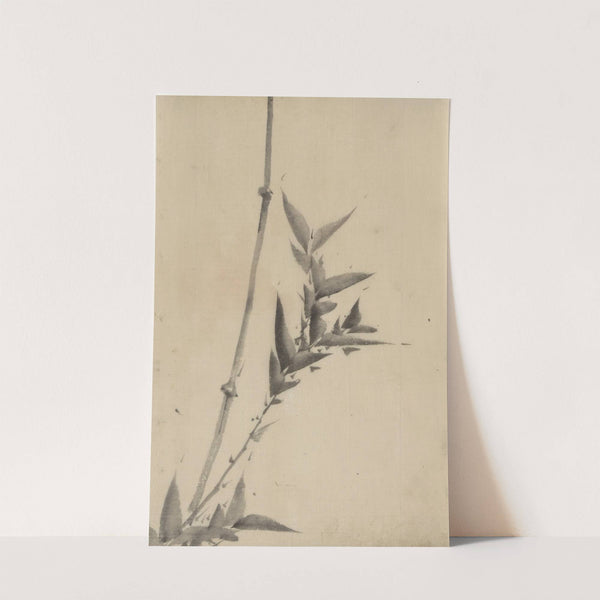 Bamboo shoots by Katsushika Hokusai