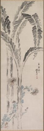 Banana Plant and Chrysanthemum (c. 1820–54)