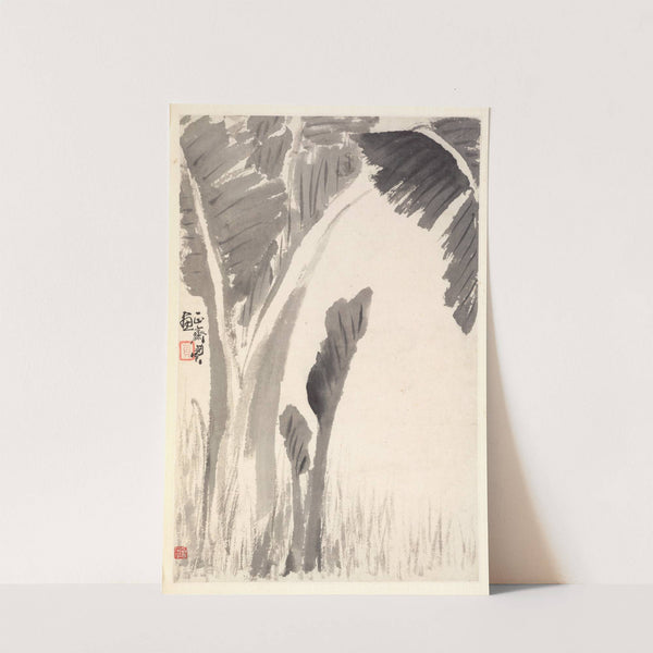 Banana Plants by Min Zhen