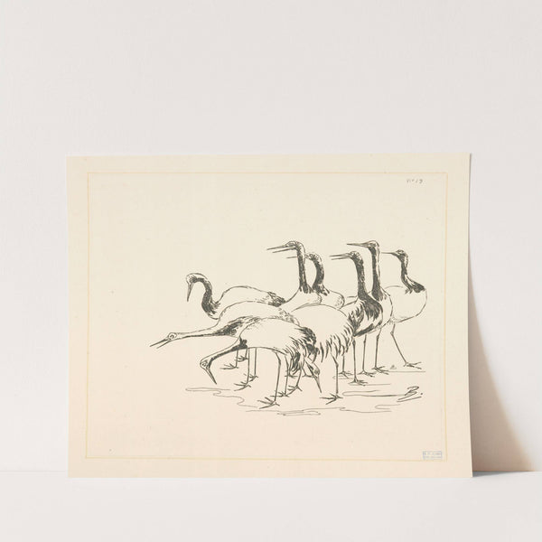 Bande de grues. (1866 - 1878) by Félix Bracquemond