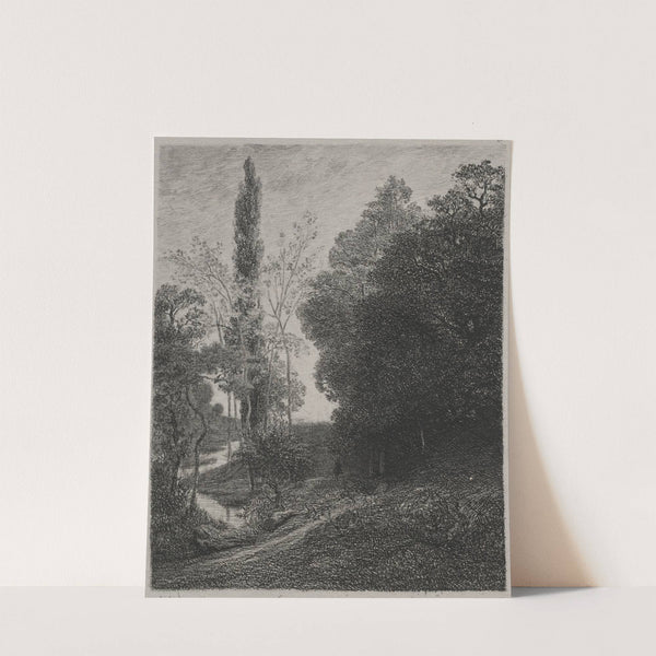 Banks of the River Cousin (1850) by Charles François Daubigny