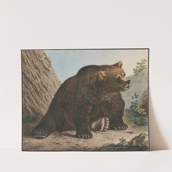 Bär by Gottfried Mind