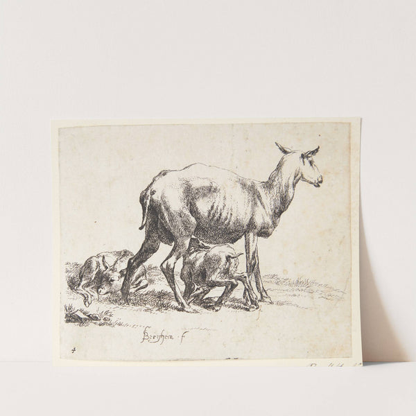 Barberet får med to lam by Nicolaes Pietersz. Berchem