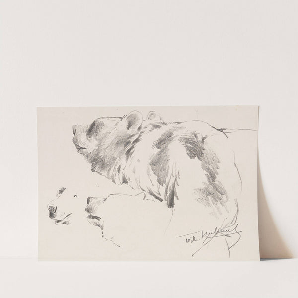 Bären-Studien (1900) by Wilhelm Kuhnert