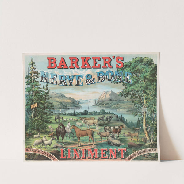 Barker's nerve & bone liniment by Thomas Hunter, Lith.