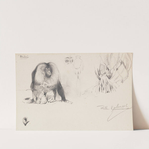 Bartaffe (Ca. 1906) by Wilhelm Kuhnert