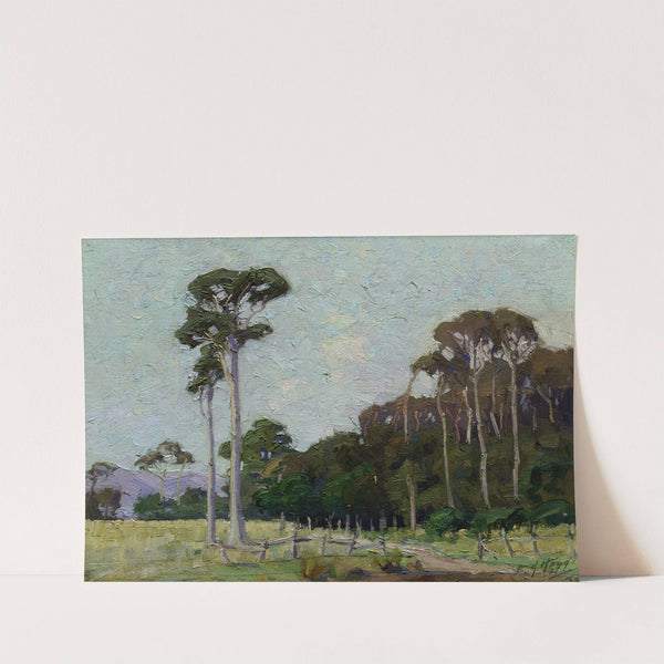 Bartons Bush, Trentham by Ernest George Hood