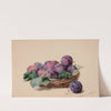 Basket of Plums by Louis Marie De Schryver