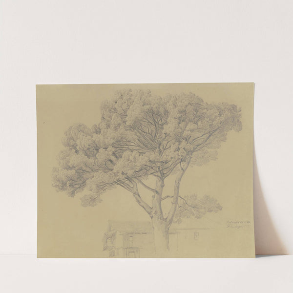 Baum bei einem Haus in Peschiera del Garda by Fritz Bamberger