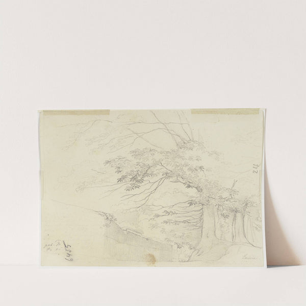 Baumbestandener Weg entlang einer Mauer by Nikolaus Hoff