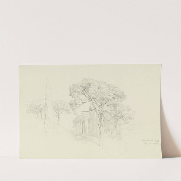 Bäume an einem Hang in Valencia by Fritz Bamberger