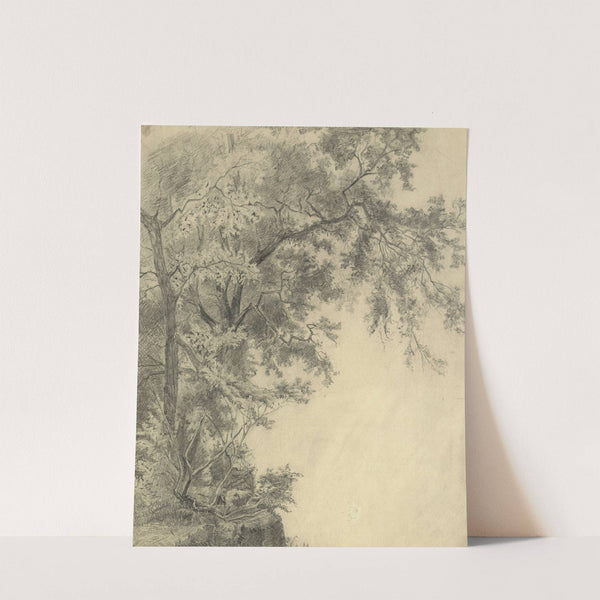 Baumgruppe an einem Steilhang (1870) by Tina Blau