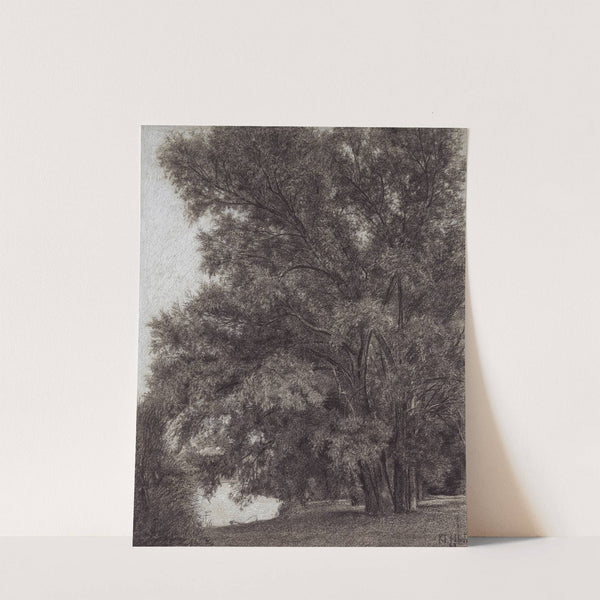 Baumgruppe im Schlosspark Kleinheubach by Louis Eysen