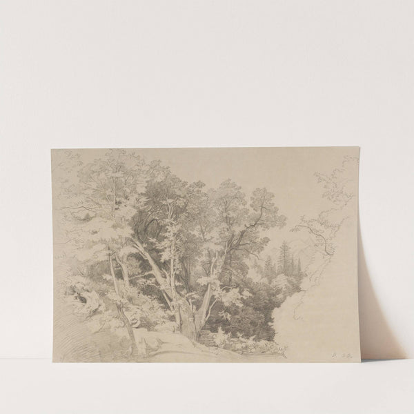 Baumgruppe mit gespaltenem Baum by Johann Wilhelm Schirmer