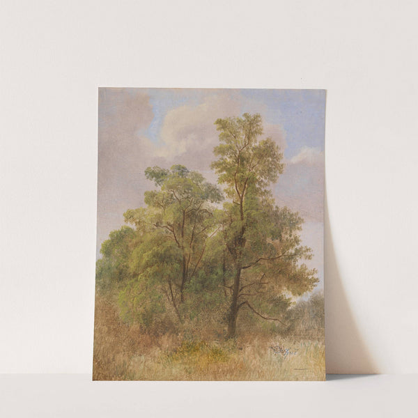 Baumstudie (Ca. 1831-1835) by Carl Spitzweg