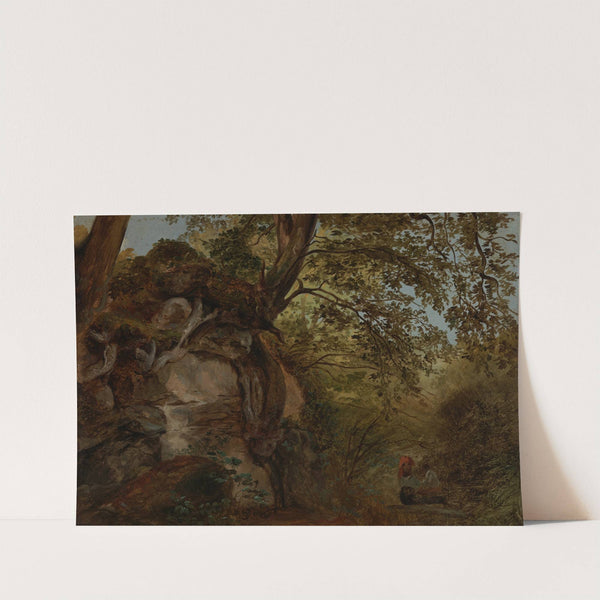 Baumstudie by Johann Baptist Kirner