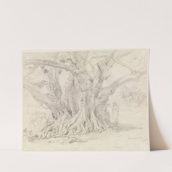 Baumstudie (1861) by Ferdinand Keller