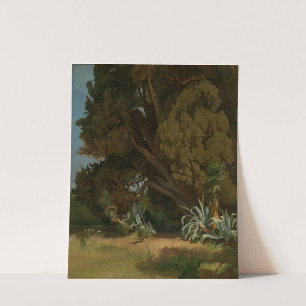 Baumstudie aus der Villa d'Este in Tivoli by Edmund Kanoldt