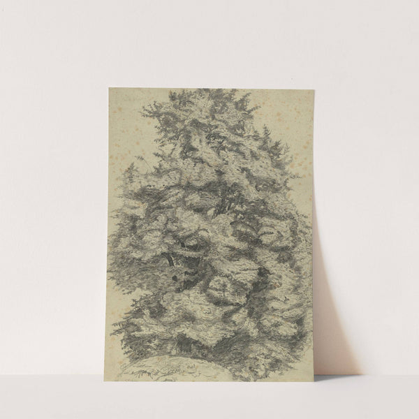 Baumstudie im Prater by Tina Blau