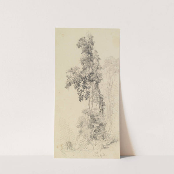 Baumstudie im Urwald mit skizziertem Lasttier by Ferdinand Keller