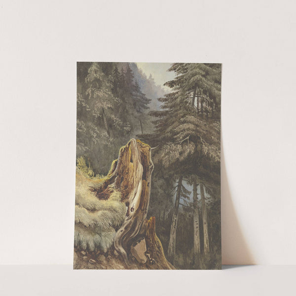 Baumstumpf am mit Tannen bewachsenem Abhang by Ludwig Daniel Philipp Schmidt