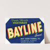 Bayline Brand Fresh Florida Vegetables Label (1930-1950)