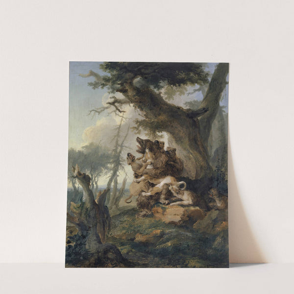 Bear, Attacked by a Pack of Hounds (1772) by Caspar Wolf