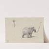 Bear by Henri Hymans