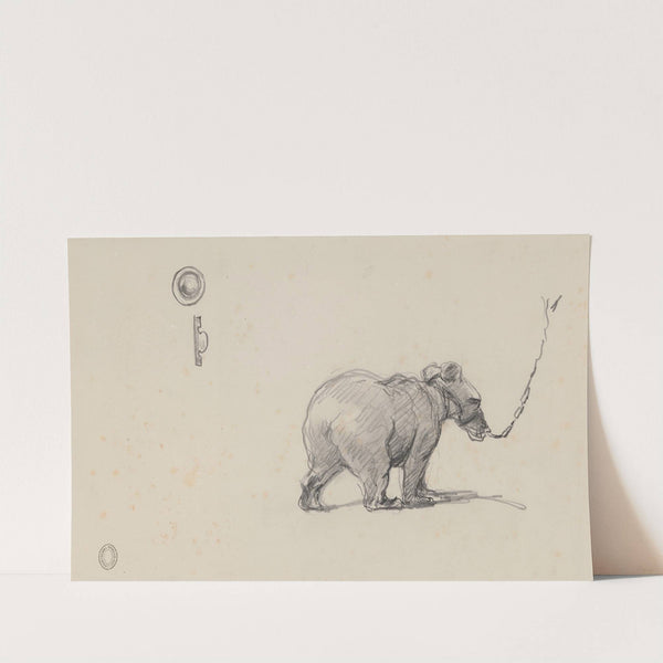 Bear by Henri Hymans
