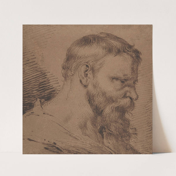 Bearded Head, Looking Down to the Right (1620–30) by Jacob de Gheyn III