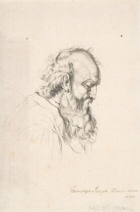 Bearded Man